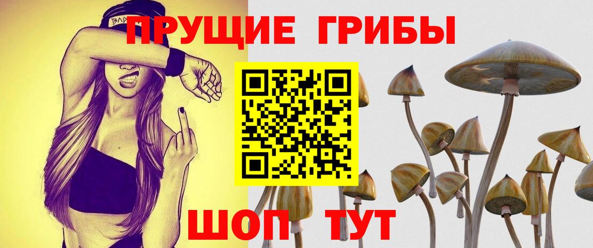 Артём  Псилоцибиновые грибы мухоморы  Вход с VPN  Галлюциногенные грибы MAGIC MUSHROOMS 